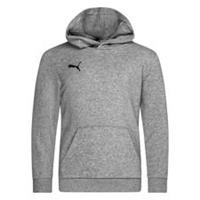 PUMA Hoodie teamGOAL 23 Casuals - Grau/Schwarz Kinder