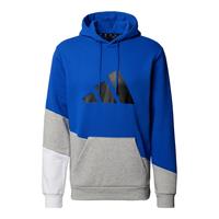 Hooded sweatshirt adidas Sportswear Colorblock
