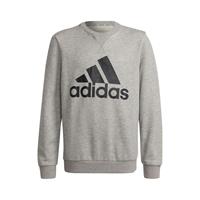 Adidas Big Logo Sweatshirt