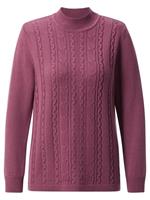 Stehkragenpullover »Pullover«