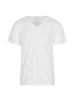Trigema T-shirt TRIGEMA V-shirt van 100% bio-katoen (kbA) (1-delig)