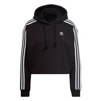 adidas Adicolor Classics Cropped Hoodie