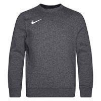 Nike Park 20 Fleece Crew Sweater Kids Grijs