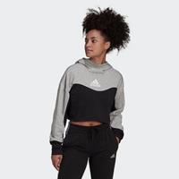 adidas Sportswear Kapuzensweatshirt "COLORBLOCK 3-STRIPES HOODIE"