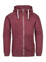 Behype Kapuzensweatshirt »SWANTON« mit praktischer Kapuze