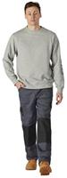 Dickies Okemo GPX Heren Sweatshirt DK0A4XTUGYM1