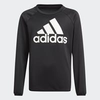 Kinder sweatshirt adidas Designed To Move Big Logo