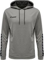 Hoodie Hummel hmlAUTHENTIC Poly
