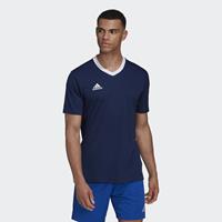 Adidas Entrada 22 Voetbalshirt