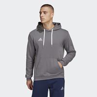 adidas Hoodie Entrada 22 - Grau