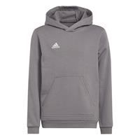 adidas Hoodie Entrada 22 - Grau Kinder