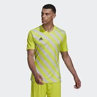 adidas - Entrada 22 GFX Jersey - Groen Voetbalshirt