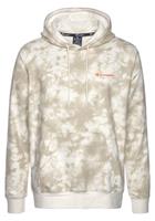 Hoodie Champion Legacy American Classics