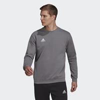 adidas Entrada 22 Sweatshirt