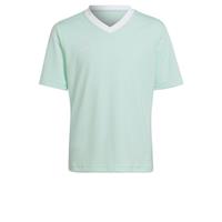 Adidas Trainingsshirt Entrada 22 - Groen/Wit Kinderen