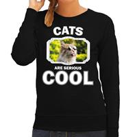 Bellatio Decorations Sweater cats are serious cool zwart dames - katten/ coole poes trui -