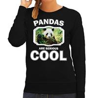 Bellatio Decorations Sweater pandas are serious cool zwart dames - pandaberen/ panda trui -