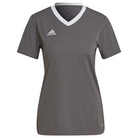 adidas - Entrada 22 Jersey Women - Grijs Voetbalshirt
