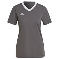 Adidas Trainingsshirt Entrada 22 - Grijs Vrouw