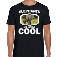 Bellatio Dieren olifant met kalf t-shirt Zwart