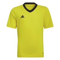 adidas - Entrada 22 Jersey Youth - Geel Voetbalshirt