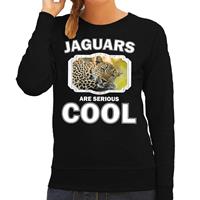 Bellatio Decorations Sweater jaguars are serious cool zwart dames - jaguars/ luipaarden/ luipaard trui -