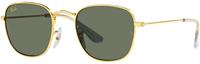 Ray Ban RJ9557S 286/71 46 legend gold / dark green