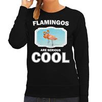 Bellatio Decorations Sweater flamingos are serious cool zwart dames - flamingo vogels/ flamingo trui -