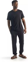 Icebreaker Shifter Pants (Maat - S, Kleur - Black)