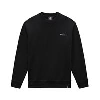 Dickies Männer Pullover Loretto in schwarz
