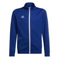 Adidas Trainingjas