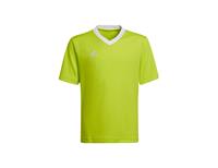 Adidas Trainingsshirt Entrada 22 - Geel/Wit Kinderen