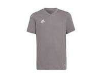 adidas - Entrada 22 Tee Youth - Kids Shirt