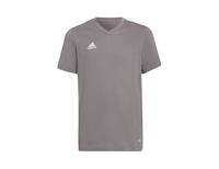 Adidas Trainingsshirt Entrada 22 - Grijs Kinderen