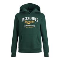 Jack & Jones Essentials Logo Hood 2 Hoodie Junior