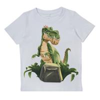T-shirt Korte Mouw Name it NMMGIGANTOSAURUS