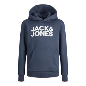 jackandjones-collectie Jack and Jones-collectie Trui hoodie LOGO (ombre blue)