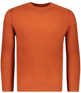 Calvin Klein Sweater Oranje