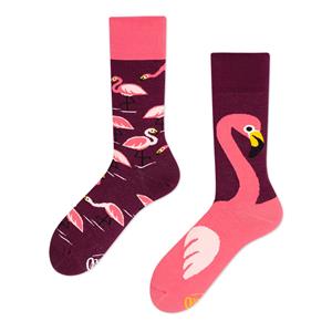 Many Mornings - Pink Flamingo Sokken