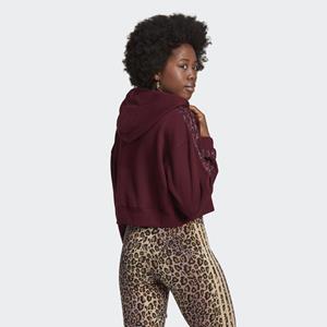 adidas Originals Sweatshirt LOGO HOODIE