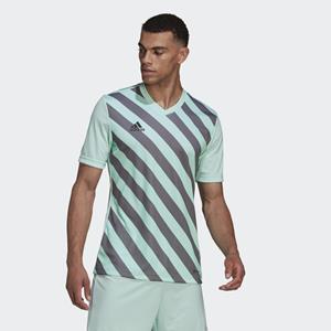 Adidas Entrada 22 Graphic Voetbalshirt