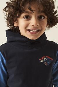 TOM TAILOR Hoodie color blokkeren
