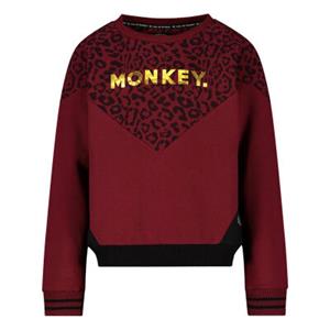 Me & My Monkey Sweater