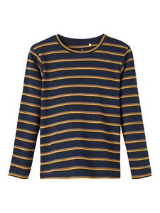 Name It Mini NMMOLANDER LS TOP