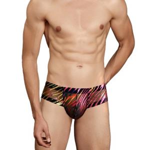 Doreanse Men Rainbow Boxer 