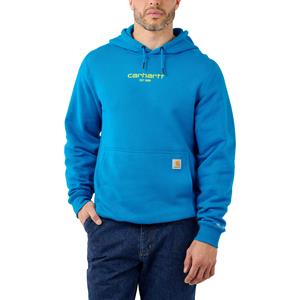 Carhartt Hoodie - Force® sweatshirt met grafische print op borst 