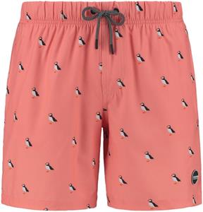 Shiwi Stretch Swimshort Puffin Zwembroek Oranje/Fluor