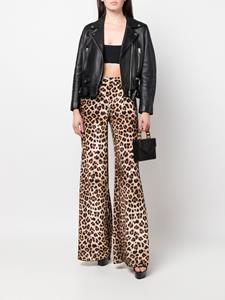 philippplein Philipp Plein Broek met luipaardprint - Bruin