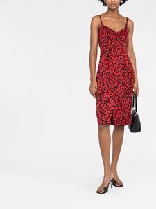 dolce&gabbana Dolce & Gabbana Midi-jurk met luipaardprint - Rood