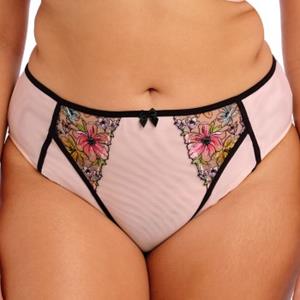 Elomi Carrie High Leg Brief 